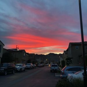 Meet your Posher, Selina